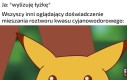 Doświadczenie