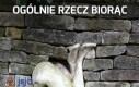 Ogólnie rzecz biorąc