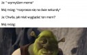 Oto jest pytanie