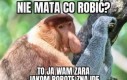 Lepiej się nie wychylać z nudą