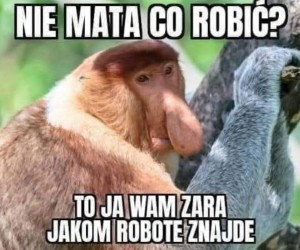 Lepiej się nie wychylać z nudą