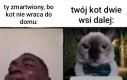 W marcu to w ogóle urwanie głowy