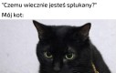 Jest przyczyna