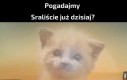 Pogadajmy