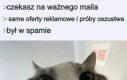 Te filtry nie działają chyba za dobrze