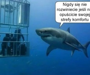 No dalej, otwórzcie