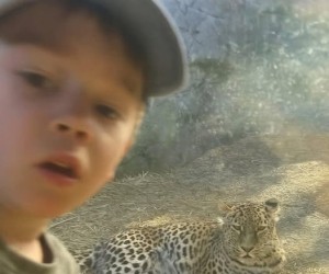 To naukowy dowód na to, że konie są ptakami
