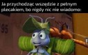 Przezorny zawsze ubezpieczony