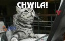 Chwila!