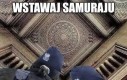 Raptem kilka piwek