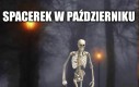 Spacerniak! Który oddział śmiga!? Które cele?!