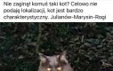 Wygląda bardziej jakby uciekł z laboratorium