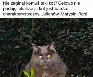 Wygląda bardziej jakby uciekł z laboratorium