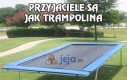 Przyjaciele są jak trampolina