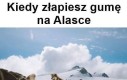 Złapanie gumy na Alasce