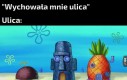 To jest Krynica moja ulica