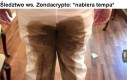 Niewinni nie mają się czego bać
