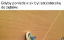 Tak by było