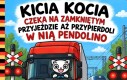 Zawsze się trochę ginie w wypadku