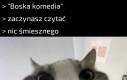 Dziwne mieli poczucie humoru