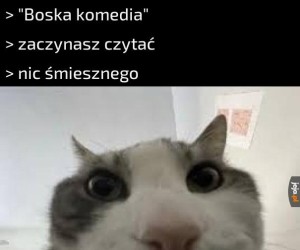 Dziwne mieli poczucie humoru