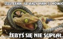 Sssstefan, ile razy mam ci mówić...