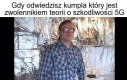 I cyk, jedziemy z uprawą