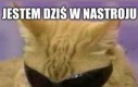 Bez kija nie podchodź
