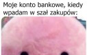 Nie szalej