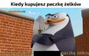 Największy rel