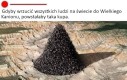 Powód zgłoszenia zdjęcia