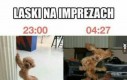 Laski na imprezach