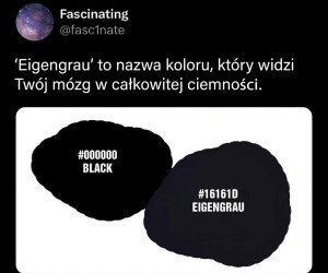 Nieśmieszne, ale ciekawe