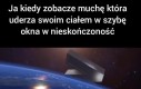Precz