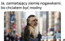 Co za pomysł
