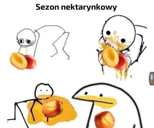 N e k t a r y n k i