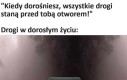 Ale wybór
