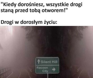 Ale wybór