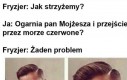 Jak strzyżemy?