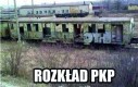 Trwa w najlepsze