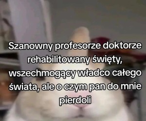 Jak tam na studiach?