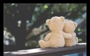 Dzień dobry jejaki! Dzisiaj mamy: Dzień Przytulania Ukochanego