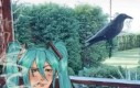 Rel