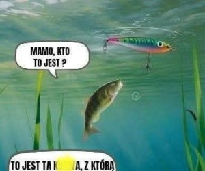 A to flądra!