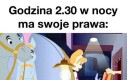 Bez zbędnych pytań