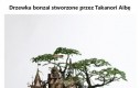 Niesamowite drzewka bonzai