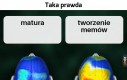 Dziwne te nasze mózgi