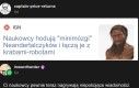 Żyjemy w świecie gier