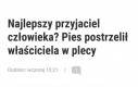 Psy wchodzą na nowy poziom