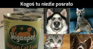 Ta Fryzura Coś Mi Przypomina Jejapl